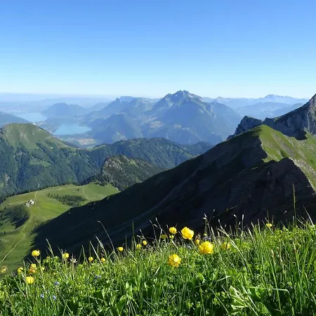 Des Sources D'arvey